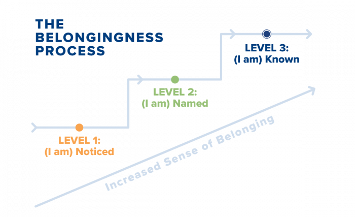 Belonging Tool - Springtide Research Institute