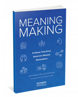meaningmaking-cover-6x9-final-web