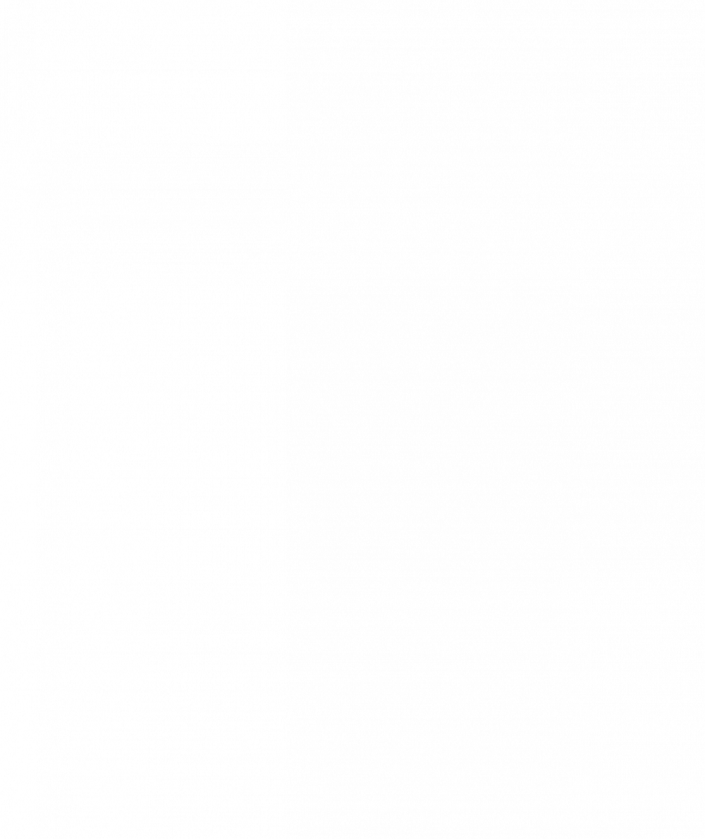 Springtide Ambassadors Program (SAP)